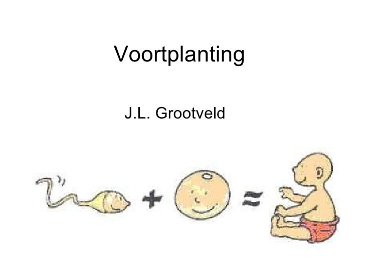 Voortplanting