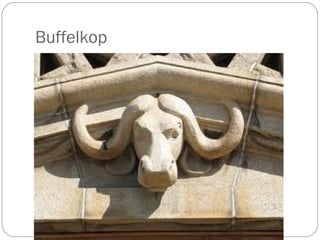 Buffelkop
