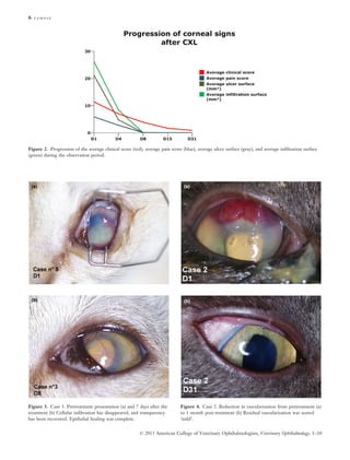 6 famose

Figure 2. Progression of the average clinical score (red), average pain score (blue), average ulcer surface (gray), and average inﬁltration surface
(green) during the observation period.

(a)

(a)

(b)

(b)

Figure 3. Case 3. Pretreatment presentation (a) and 7 days after the
treatment (b) Cellular inﬁltration has disappeared, and transparency
has been recovered. Epithelial healing was complete.

Figure 4. Case 2. Reduction in vascularization from pretreatment (a)
to 1 month post-treatment (b) Residual vascularization was scored
‘mild’.

© 2013 American College of Veterinary Ophthalmologists, Veterinary Ophthalmology, 1–10

 