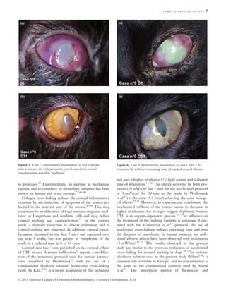 corneal melting in cats 7

(a)

(a)

(b)

(b)

Figure 5. Case 7. Pretreatment presentation (a) and 1 month
after treatment (b) with persistent central superﬁcial corneal
vascularization scored as ‘moderate’.

to proteases.23 Experimentally, an increase in mechanical
rigidity and in resistance to proteolytic enzymes has been
shown for human and swine corneas.23,46–48
Collagen cross-linking reduces the corneal inﬂammatory
response by the induction of apoptosis of the keratocytes
located in the anterior part of the stroma.49,50 This may
contribute to modiﬁcation of local immune response mediated by Langerhans and dendritic cells and may reduce
corneal melting and vascularization.39 In the current
study, a dramatic reduction in cellular inﬁltration and in
corneal melting was observed. In addition, corneal vascularization increased in the ﬁrst 7 days and regressed over
the next 3 weeks, but was present at completion of the
study in a reduced state in 8 of 10 eyes.
Limited data have been published on the corneal effects
of CXL in cats. A recent publication32 reports a modiﬁcation of the treatment protocol used for human keratoconus described by Wollensack12 with the use of a
compounded riboﬂavin solution. Accelerated cross-linking
(with the KXLTM) is a recent adaptation of this technique

Figure 6. Case 9. Pretreatment presentation (a) and 1 after CXL
treatment (b) with two remaining areas of marked corneal ﬁbrosis.

and uses a higher irradiance UV light source and a shorter
time of irradiation.51,52 The energy delivered by both protocols (30 mW/cm² for 3 min for the accelerated protocol
or 3 mW/cm² for 30 min in the study by Wollensack
et al.12) is the same (5.4 J/cm²) achieving the same biological effects.51,52 However, in experimental conditions, the
biochemical stiffness of the cornea seems to decrease in
higher irradiances due to rapid oxygen depletion, because
CXL is an oxygen-dependent process.53 The inﬂuence on
the treatment of the melting keratitis is unknown. Compared with the Wollensack et al.12 protocol, the use of
accelerated cross-linking reduces operating time and thus
the duration of anesthesia. In human patients, no additional adverse effects have been observed with irradiances
>3 mW/cm².51,52 The results observed in the present
study are similar to the previous evaluation of accelerated
cross-linking for corneal melting in dogs.34 The isotonic
riboﬂavin solution used in the present study (VibexTM) is
commercially available in Europe, and its concentration is
the same as the compounded solution used by Spiess
et al.32 The absorption spectra of ﬂuorescein and

© 2013 American College of Veterinary Ophthalmologists, Veterinary Ophthalmology, 1–10

 