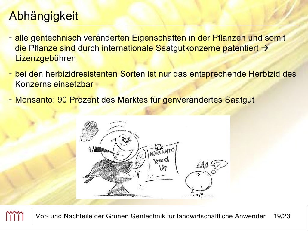 Vor und Nachteile der grünen Gentechnik für landwirtschaftliche Anwe…