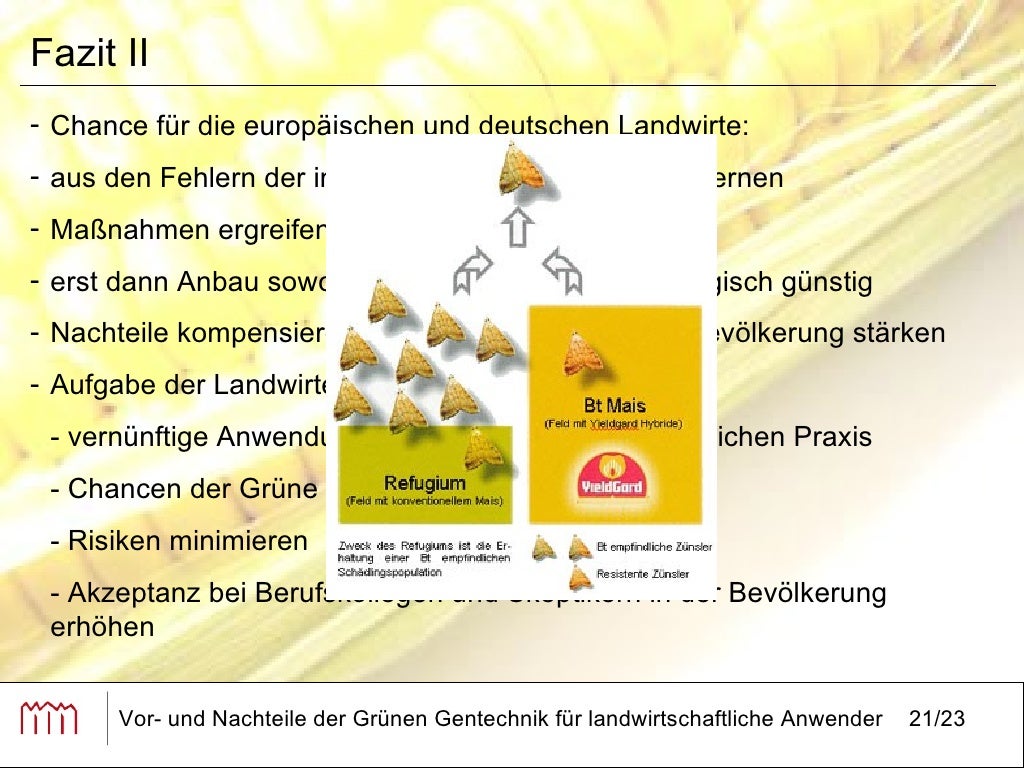 Vor Und Nachteile Der Gentechnik Vor und Nachteile der grünen Gentechnik für landwirtschaftliche Anwe…