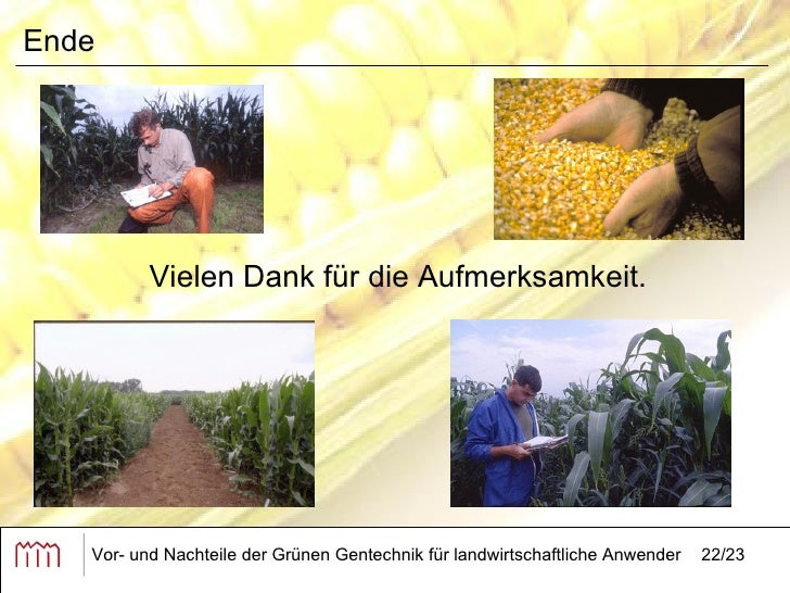 Vor und Nachteile der grünen Gentechnik für landwirtschaftliche Anwe…
