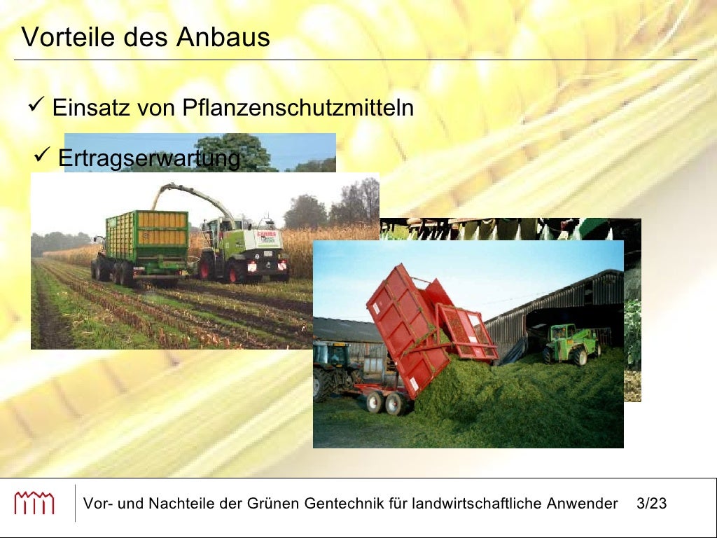 Vor Und Nachteile Von Gentechnik Vor und Nachteile der grünen Gentechnik für landwirtschaftliche Anwe…