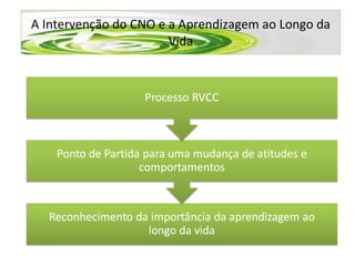 A Intervenção do CNO e a Aprendizagem ao Longo da Vida 