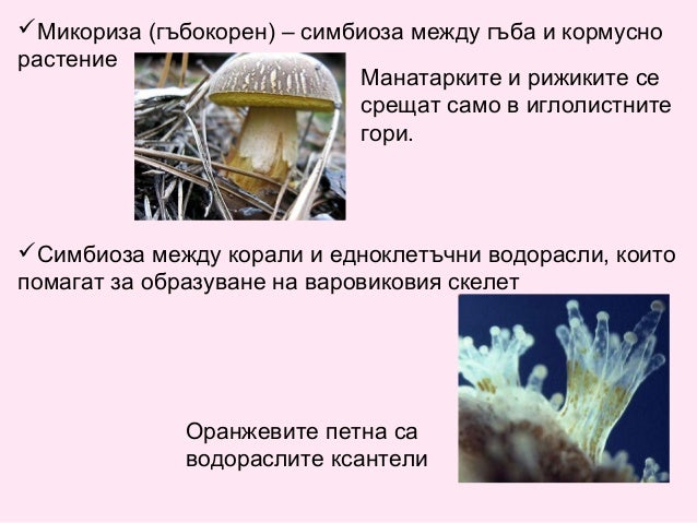 Екологични взаимоотношения