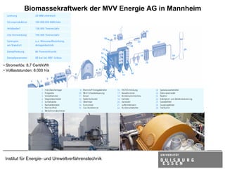 Biomassekraftwerk der MVV Energie AG in Mannheim




• Stromerlös: 8,7 Cent/kWh
• Volllaststunden: 8.000 h/a




 Institut für Energie- und Umweltverfahrenstechnik
 