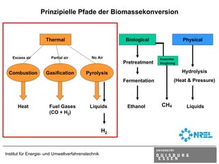 Prinzipielle Pfade der Biomassekonversion



                     Thermal                              Biological                Physical


   Excess air           Partial air          No Air                     Anaerobe
                                                         Pretreatment   Vergärung


 Combustion          Gasification         Pyrolysis                                 Hydrolysis
                                                         Fermentation           (Heat & Pressure)




      Heat             Fuel Gases           Liquids       Ethanol        CH4         Liquids
                       (CO + H2)


                                                    H2



Institut für Energie- und Umweltverfahrenstechnik
 