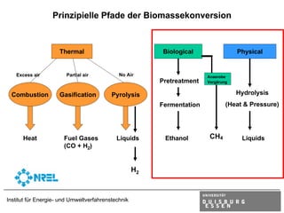 Prinzipielle Pfade der Biomassekonversion



                     Thermal                              Biological                Physical


   Excess air           Partial air          No Air                     Anaerobe
                                                         Pretreatment   Vergärung


 Combustion          Gasification         Pyrolysis                                 Hydrolysis
                                                         Fermentation           (Heat & Pressure)




      Heat             Fuel Gases           Liquids       Ethanol        CH4         Liquids
                       (CO + H2)


                                                    H2



Institut für Energie- und Umweltverfahrenstechnik
 