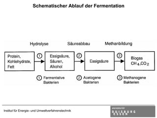 Schematischer Ablauf der Fermentation




Institut für Energie- und Umweltverfahrenstechnik
 
