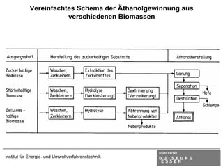 Vereinfachtes Schema der Äthanolgewinnung aus
                       verschiedenen Biomassen




Institut für Energie- und Umweltverfahrenstechnik
 