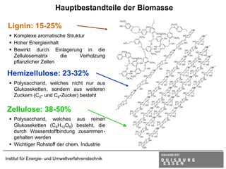 Hauptbestandteile der Biomasse
                                                    H3 CO


 Lignin: 15-25%                                     HO
                                                                    O        O
                                                                                           OCH3
                                                                                                                                    H3 CO
                                                                                                                                      O
                                                                                                                                                               OH


 § Komplexe aromatische Struktur
                                                                                                         OCH3
                                                                                                            OCH3                                           O
                                                                                                    O                                              HO                         OH
                                                                                                                                                                               O
                                                                              OCH3                                                    OCH3
                                                                                                                   OH
                                                                                                                                                   O
 § Hoher Energieinhalt
                                                                                                                            O                                   HO
                                                         HO                                                                     OH          O      OH
                                                                                                O                                                                      O HO
                                                                                                   HO                                                             O                OH
                                                                                                                                                                                    O
 § Bewirkt durch Einlagerung in die                                                                OH                                       OH                    OH
                                                                                                                                    OH              OH O
                                                        OCH3                                        H3CO                                                             HO
                                                                                                 OCH 3
   Zellulosematrix     die    Verholzung                             OCH3
                                                                        OCH3
                                                                                                                   HO
                                                                                                                                O
                                                                                                                                                   OH
                                                                                                                                                    O      OH
                                                                                                                                                                       O
                                                                                                                                                                       OH
                                                                                                                                                                          O HO
                                                                                                                                                                               OH
                                                                                                                                                                                O
                                                                                                                    O
   pflanzlicher Zellen                                          O
                                                                               OH               OCH 3
                                                                                                              O     OH
                                                                                                                                      HO
                                                                                                                                              O HO
                                                                                                                                                           OH O        HO
                                                                                                                                                                            O HO
                                                                                       O                                                                        OH
                                                                                                                                         O              OH
                                                                                                                                                         O               O        OH
                                                                                                                                                                                   O
                                                            O                              OH                 OH                         OH                              OH
                                                                                                    OH                  OH O                                 OH O

Hemizellulose: 23-32%                                           HO
                                                                OH
                                                                 H3CO
                                                              OCH3
                                                                                    HO
                                                                                                O
                                                                                                                       OH
                                                                                                                        O       OH
                                                                                                                                            HO

                                                                                                                                              O
                                                                                                                                                 O HO
                                                                                                                                                           OH
                                                                                                                                                            O       OH
                                                                                                                                                                              HO

                                                                                                                                                                               O
                                                                                                                                                                                    O HO

                                                                                                                                              OH                               OH
                                                                                       O
 § Polysaccharid, welches nicht nur aus                                        O       OH                HO
                                                                                                                  O HO
                                                                                                                            OH O              HO
                                                                                                                                                      O HO
                                                                                                                                                                OH O

                                                                                                          O                 OH
                                                                                                                             O        OH         O                       OH
                                                                                                                                                                OH
                                                                                                                                                                 O
   Glukoseketten, sondern aus weiteren                                  OH
                                                                              OH
                                                                                            OH O
                                                                                                          OH
                                                                                                                                    OH O
                                                                                                                                                 OH

                                                                                                              HO                                   HO
   Zuckern (C5- und C6-Zucker) besteht                   HO
                                                                    O
                                                                                           OH
                                                                                            O       OH
                                                                                                                  O
                                                                                                                    O HO
                                                                                                                                OH
                                                                                                                                 O       OH
                                                                                                                                                      O
                                                                                                                                                           O HO

                                                                                                                  OH                                  OH
                                                          O
                                                                             HO                   OH O            HO                   OH O
                                                    O     O
                                                                                    O HO                                 O HO


Zellulose: 38-50%
                                                                               O                OH
                                                                                                 O       OH        O                  OH
                                                                                                                                       O      OH
                                                                               OH                                  OH
                                                                    OH O                             OH O
                                                                                  HO                                   HO
                                                                        OH             O HO                                     O HO
                                                                                            OH OH
 § Polysaccharid, welches aus reinen                                                O        O                           O
                                                                                    OH                                   OH
                                                                        OH O        HO          OH O
   Glukoseketten (C6H12O6) besteht, die                                      OH       O
                                                                                         O HO
                                                                                               OH OH
                                                                                                O
                                                                                      OH
   durch Wasserstoffbindung zusammen-                                    OH O
                                                                                           HO

   gehalten werden                                                             OH
                                                                                            O
                                                                                            OH
                                                                                                  O HO



 § Wichtiger Rohstoff der chem. Industrie
                                                                             OH O

                                                                                    OH




Institut für Energie- und Umweltverfahrenstechnik
 