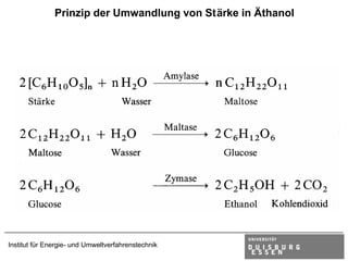 Prinzip der Umwandlung von Stärke in Äthanol




Institut für Energie- und Umweltverfahrenstechnik
 