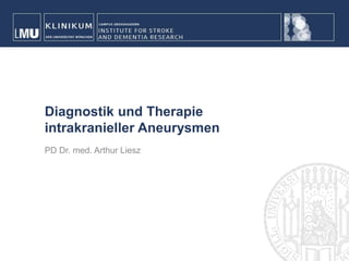 Funded by:
Solorz-Zak Research Foundation
PD Dr. med. Arthur Liesz
Diagnostik und Therapie
intrakranieller Aneurysmen
Farbwerte:
R134
G152
B168
 