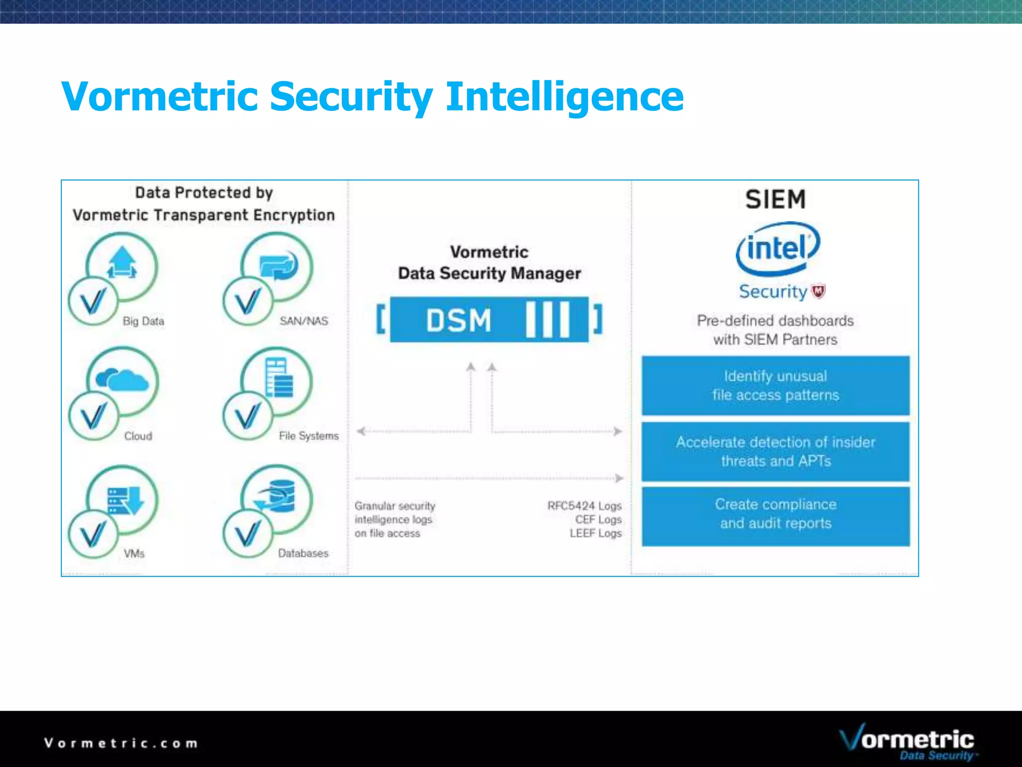 Vormetric Security Intelligence 
 