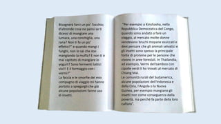 Bisognerà farci un po’ l’occhio;
d’altronde cosa ne pensi se ti
dicessi di mangiare una
lumaca, una conchiglia, una
rana? Non ti fa un po’
effetto?” e quando mangi i
funghi, non lo sai che stai
mangiando la muffa? E non ti è
mai capitato di mangiare lo
yogurt? Sono fermenti lattici
vivi!! E il formaggio con i
vermi?”
La faccia e le smorfie del mio
compagno di viaggio mi hanno
portato a spiegargli che già
alcune popolazioni fanno uso
di insetti.
“Per esempio a Kinshasha, nella
Repubblica Democratica del Congo,
quando sono andato a fare un
viaggio, al mercato molte donne
vendevano bruchi mopane essiccati e
devi pensare che gli animali selvatici e
gli insetti sono spesso la principale
fonte di proteine ​​per le persone che
vivono in aree forestali. In Thailandia,
ad esempio, Vermi del bamboo con
cipolle verdi li ho trovati al mercato di
Chiang Mai.
Le comunità rurali del Sudamerica,
alcune popolazioni dell'Indonesia e
della Cina, l'Angola o la Nuova
Guinea, per esempio mangiano gli
insetti non come conseguenza della
povertà, ma perché fa parte della loro
cultura”.
 