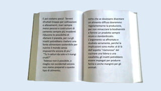 E poi costano poco! Terreni
sfruttati troppo per coltivazioni
e allevamenti, mari sempre
meno pescosi e costruzioni di
cemento sempre più invadenti
riducono le possibilità di
sfamare il pianeta, per cui gli
insetti potrebbero rivelarsi una
fonte alimentare sostenibile per
nutrire il mondo senza
impoverirlo ancora di più.”
“Tu li catturi da solo e li mangi
crudi?”
“Adesso non è possibile, o
meglio noi occidentali ancora
non siamo preparati a questo
tipo di alimento;
certo che se dovessero diventare
un alimento diffuso dovremmo
regolamentarne la produzione,
per non minacciare la biodiversità
e fornire un prodotto sempre
sicuro e standardizzato.
L'argomento va affrontato e
studiato seriamente, perché le
implicazioni sono molte: al di là
dell'aspetto "clamoroso" del
cucinare una falena o una
cavalletta, gli insetti potrebbero
essere impiegati per produrre
farine e anche mangimi per gli
animali.
 