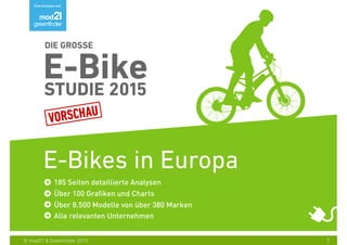 1© mod21 & Greenfinder 2015
E-Bikes in Europa
 