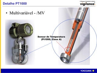 • Multivariável - /MV
Sensor de Temperatura
(Pt1000, Class A)
Detalhe PT1000
 