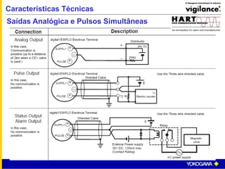 Características Técnicas
Saídas Analógica e Pulsos Simultâneas
 