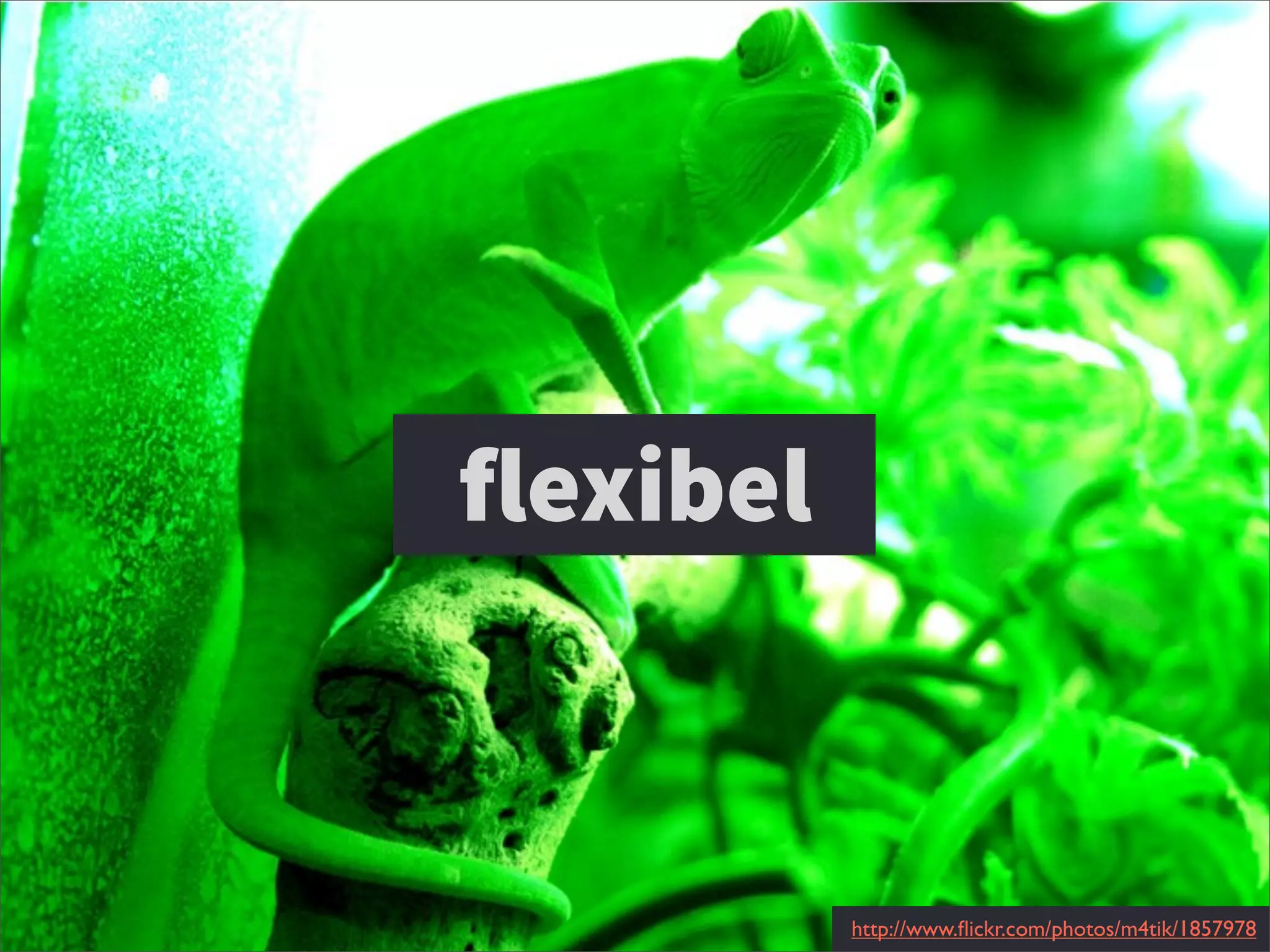 http://www.ﬂickr.com/photos/m4tik/1857978
flexibel
 