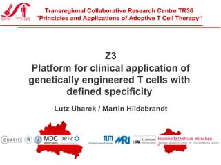 Transregional Collaborative Research Centre TR36
”Principles and Applications of Adoptive T Cell Therapy“

Z3
Platform for clinical application of
genetically engineered T cells with
defined specificity
Lutz Uharek / Martin Hildebrandt

 