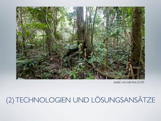 „Jungle“ von Lolly Knit, CC BY




(2) TECHNOLOGIEN UND LÖSUNGSANSÄTZE
 