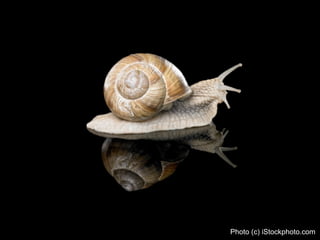 Web2.0 Basics für Radreiseveranstalter