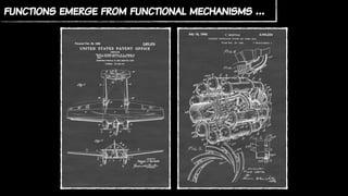 functions emerge from functional mechanisms …
 