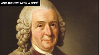 and then we need a linné
 