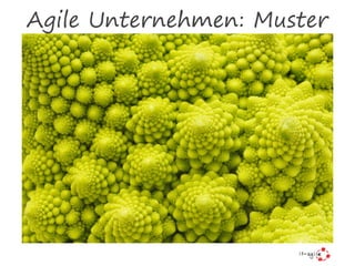 Agile Unternehmen: Muster
 