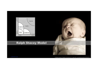 © Daniel James, Creative Commons 2.0 | www.flickr.com/photos/revjim/2157610777 
Ralph Stacey Model 
codecentric AG 
 