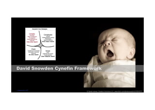 David Snowden Cynefin Framework 
© Daniel James, Creative Commons 2.0 | www.flickr.com/photos/revjim/2157610777 
codecentric AG 
 