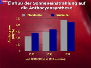 Einfluß der Sonneneinstrahlung auf die Anthocyansynthese nach BERTAMINI et al. 1998, verändert. Anthocyane [mg/L] 