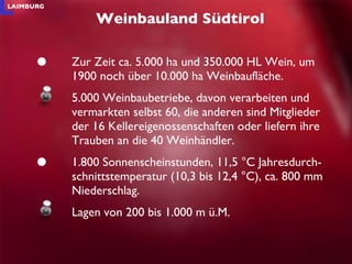 Zur Zeit ca. 5.000 ha und 350.000 HL Wein, um 1900 noch über 10.000 ha Weinbaufläche. 5.000 Weinbaubetriebe, davon verarbeiten und vermarkten selbst 60, die anderen sind Mitglieder der 16 Kellereigenossenschaften oder liefern ihre Trauben an die 40 Weinhändler.  1.800 Sonnenscheinstunden, 11,5 °C Jahresdurch-schnittstemperatur (10,3 bis 12,4 °C), ca. 800 mm Niederschlag. Lagen von 200 bis 1.000 m ü.M. Weinbauland Südtirol 