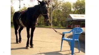 S E L B S T S I C H E R Z U M E R F O L G7
 