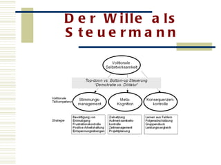 Der Wille als Steuermann 