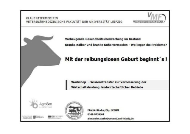 Vortrag Geburt