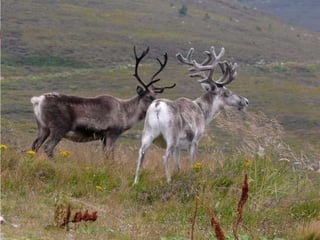 bridgingIT / Seite 4
 