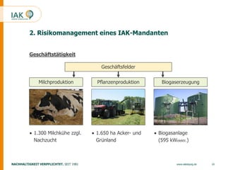 10www.iakleipzig.de
2. Risikomanagement eines IAK-Mandanten
Geschäftstätigkeit
Geschäftsfelder
BiogaserzeugungPflanzenprod...