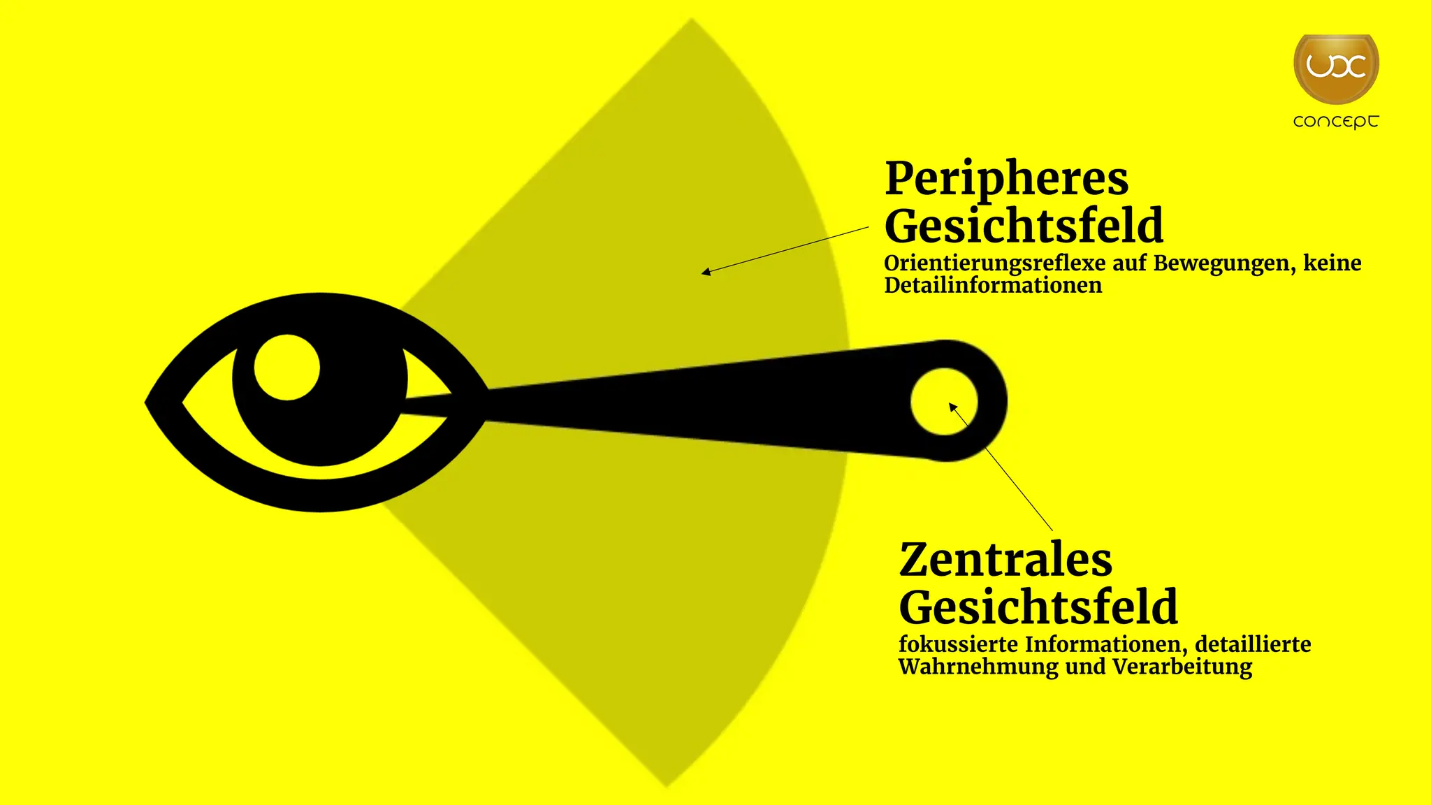 Peripheres
Gesichtsfeld
Orientierungsreflexe auf Bewegungen, keine
Detailinformationen
Zentrales
Gesichtsfeld
fokussierte Informationen, detaillierte
Wahrnehmung und Verarbeitung
 
