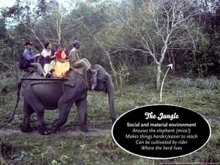 e Jungle
Social and material environment
  Arouses the elephant (mice!)
Makes things harder/easier to reach
    Can be cultivated by rider
       Where the herd lives

                http://www.ﬂickr.com/photos/grumbler/5631948705/sizes/o/in/photostream/
 