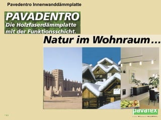 Pavedentro Innenwanddämmplatte 