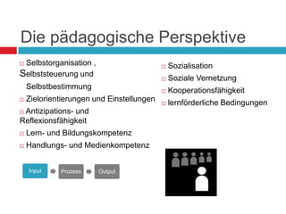 Die pädagogische Perspektive Selbstorganisation Selbststeuerung Selbstbestimmung Zielorientierungen und Einstellungen Antizipations- und Reflexionsfähigkeit Lern- und Bildungskompetenz Handlungs- und MedienkompetenzSozialisation  Soziale Vernetzung Kooperationsfähigkeit Lernförderliche Bedingungen