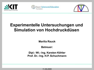 Experimentelle Untersuchungen und
Simulation von Hochdruckdüsen
Marília Rauck

Betreuer:
Dipl.- Wi.- Ing. Karsten Köhler
Prof. Dr.- Ing. H.P. Schuchmann

11.09.2009

 