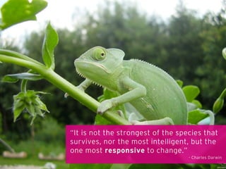 “It is not the strongest of the species that
survives, nor the most intelligent, but the
one most responsive to change.”
- Charles Darwin
 