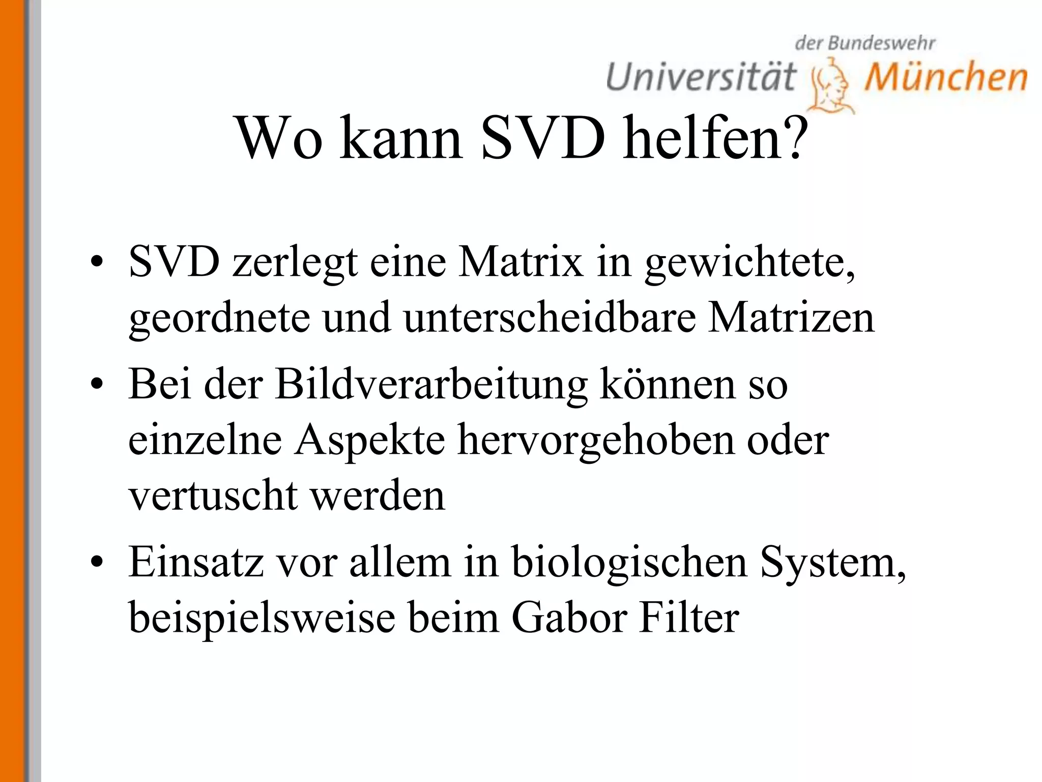 Wo kann SVD helfen?SVD zerlegt eine Matrix in gewichtete, geordnete und unterscheidbare MatrizenBei der Bildverarbeitung können so einzelne Aspekte hervorgehoben oder vertuscht werdenEinsatz vor allem in biologischen System, beispielsweise beim Gabor Filter