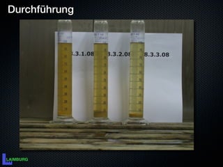 Durchführung
 