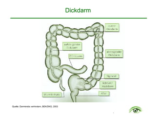 .
Dickdarm
Quelle: Darmkrebs verhindern, BEK/DKG, 2003
 