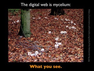The digital web is mycelium:
h"ps://commons.wikimedia.org/wiki/File:Heksenkring.jpg
What you see.
 